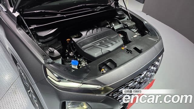 Hyundai Santa Fe TM Exclusive Special, 2019 6