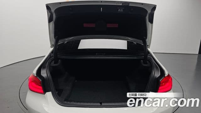 BMW 5시리즈 (G30) Luxury, 2018 20