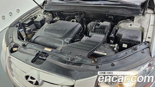 Hyundai Santa Fe CM Deluxe, 2010 6