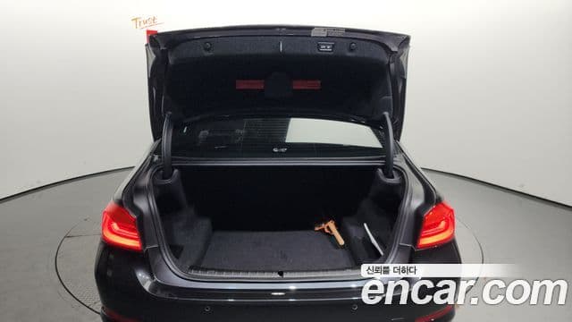 BMW 5시리즈 (G30) Luxury, 2019 20