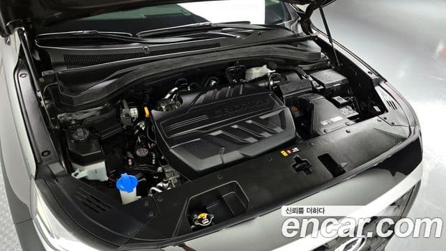 Hyundai Santa Fe TM Premium, 2019 6