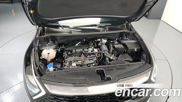 Kia Sportage 5세대 Signature, 2023 6