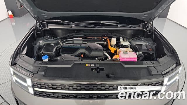 Hyundai Santa Fe (MX5) Calligraphy, 2024 6