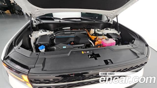 Hyundai Santa Fe (MX5) Calligraphy, 2024 6