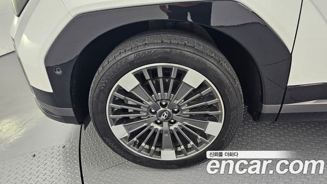 Hyundai Santa Fe (MX5) Calligraphy, 2024 все фото