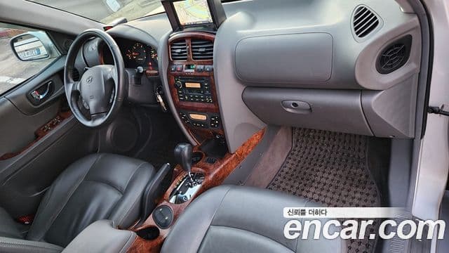 Hyundai Santa Fe топовая версия, 2003 8