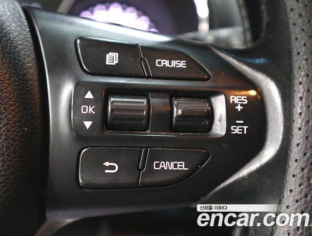 Kia All New Carnival Luxury, 2016 16