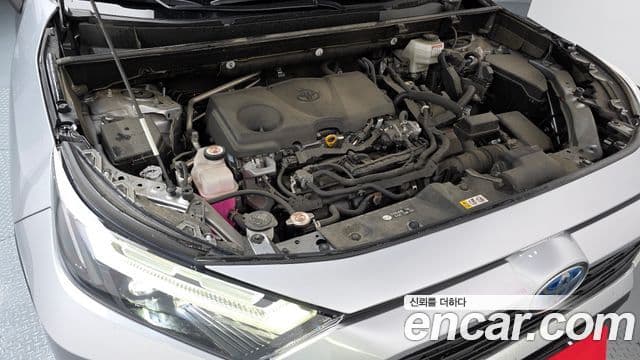 Toyota RAV4 5세대, 2022 6