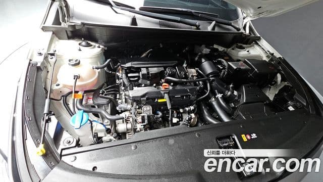 Kia Sportage 5세대 Signature, 2024 6