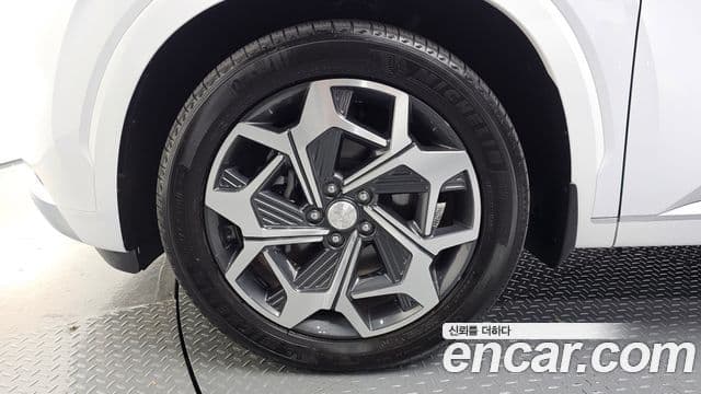 Hyundai Palisade Calligraphy, 2021 все фото