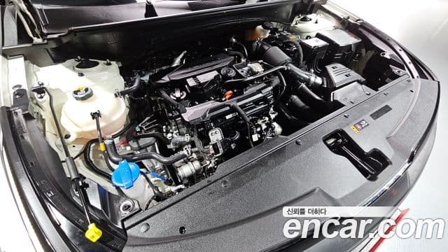 Kia Sportage 5세대 Noblesse, 2022 6