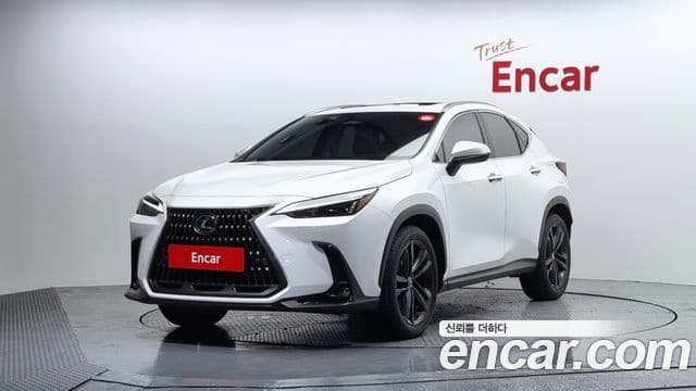 Lexus NX350h 2세대 Premium, 2025 1