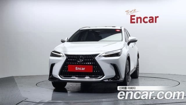 Lexus NX350h 2세대 Premium, 2025 3