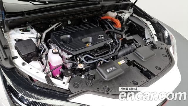 Lexus NX350h 2세대 Premium, 2025 6