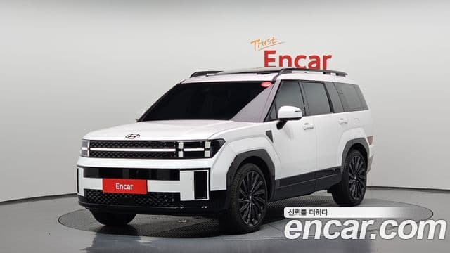 Hyundai Santa Fe (MX5) Calligraphy, 2024 1