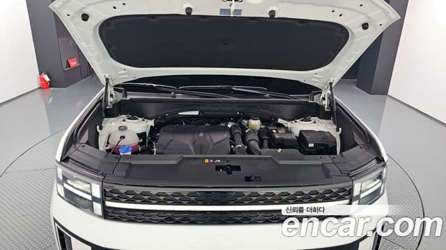 Hyundai Santa Fe (MX5) Calligraphy, 2024 6