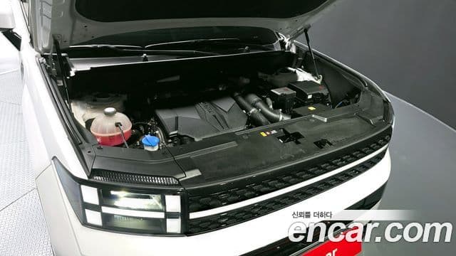 Hyundai Santa Fe (MX5) Calligraphy, 2024 6