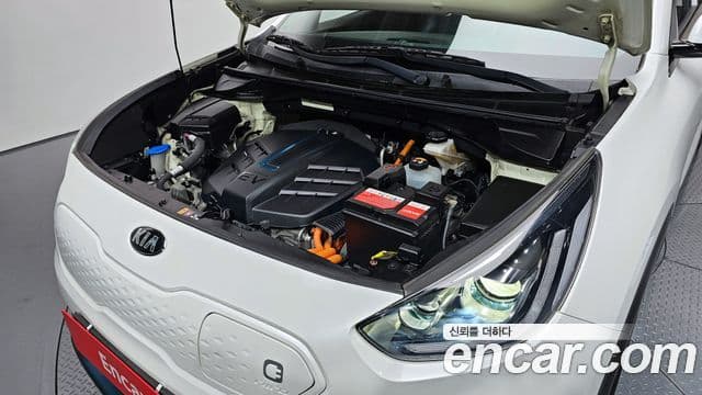 Kia Niro EV Noblesse, 2019 6