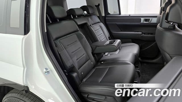 Hyundai Santa Fe (MX5) Calligraphy, 2024 12