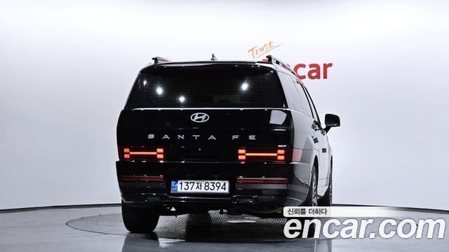 Hyundai Santa Fe (MX5) Calligraphy, 2024 4