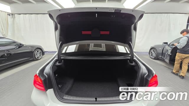 BMW 5시리즈 (G30) 520d Luxury Special Edition, 2018 20