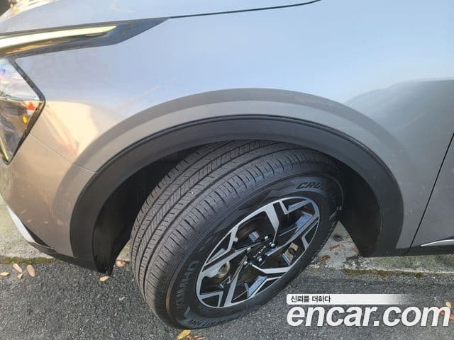 Kia Sportage 5세대 Trendy, 2023 12