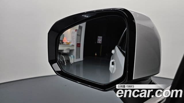 Hyundai Santa Fe (MX5) Calligraphy, 2024 17