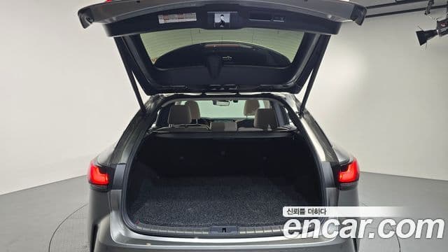Lexus RX350h 5세대 Luxury, 2024 20