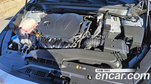 Kia K8 Noblesse, 2022 6