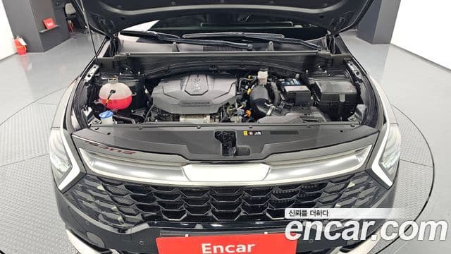 Kia Sportage 5세대 Noblesse, 2022 6
