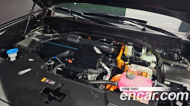 Hyundai Santa Fe (MX5) Calligraphy, 2024 6