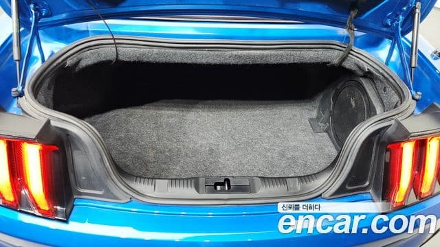 Ford Mustang GT кабриолет, 2020 20