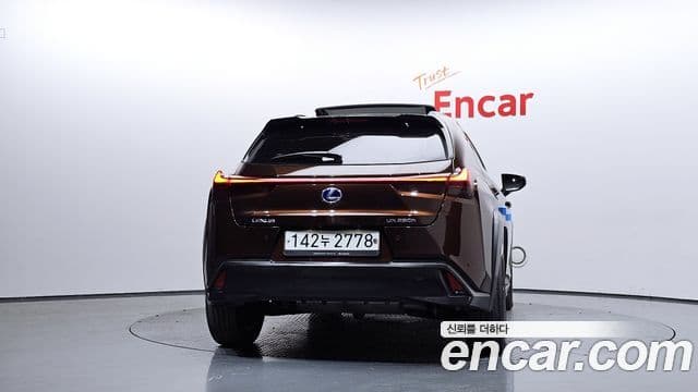 Lexus UX250h, 2019 4