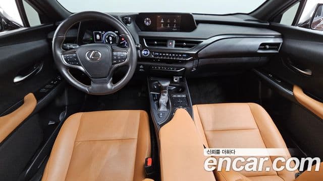 Lexus UX250h, 2019 7