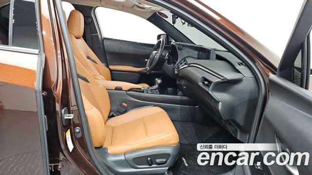 Lexus UX250h, 2019 11