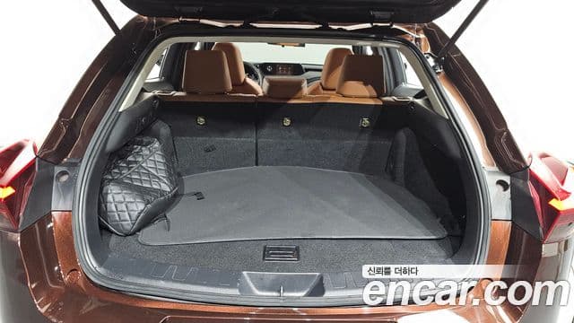 Lexus UX250h, 2019 20