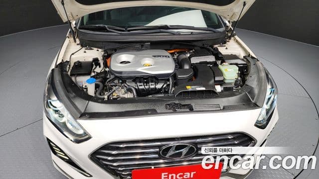 Hyundai Sonata New 라이즈 гибрид Premium, 2018 6