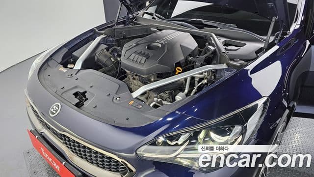 Kia 스팅어 Platinum, 2019 6