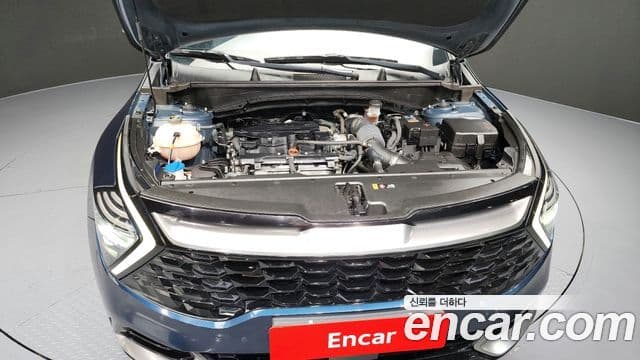 Kia Sportage 5세대 Signature, 2022 6