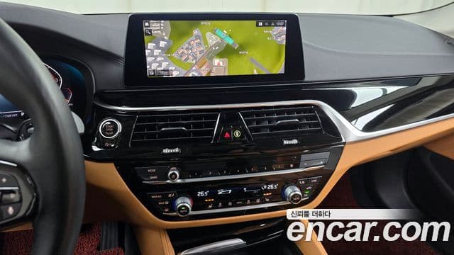 BMW 5시리즈 (G30) Luxury, 2020 13