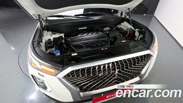 Hyundai Palisade Prestige, 2020 6