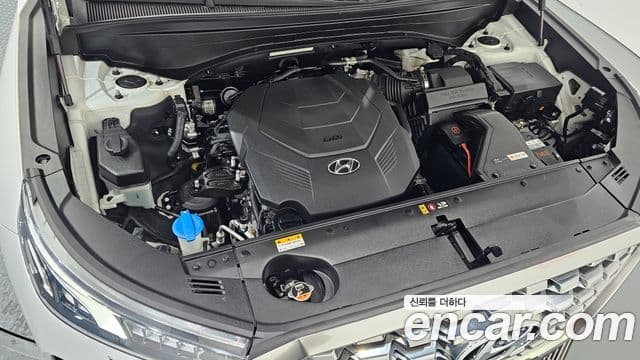 Hyundai Palisade Prestige, 2019 6