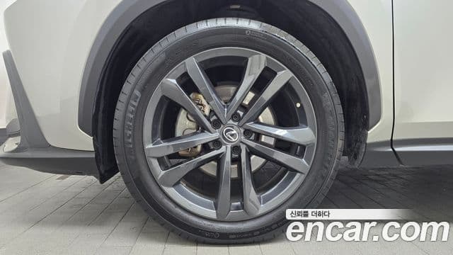 Lexus NX350h 2세대 Premium, 2023 все фото