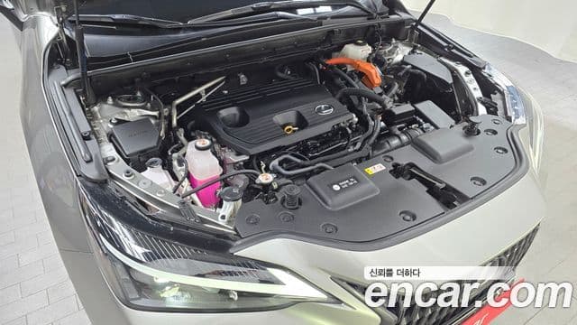 Lexus NX350h 2세대 Premium, 2023 6