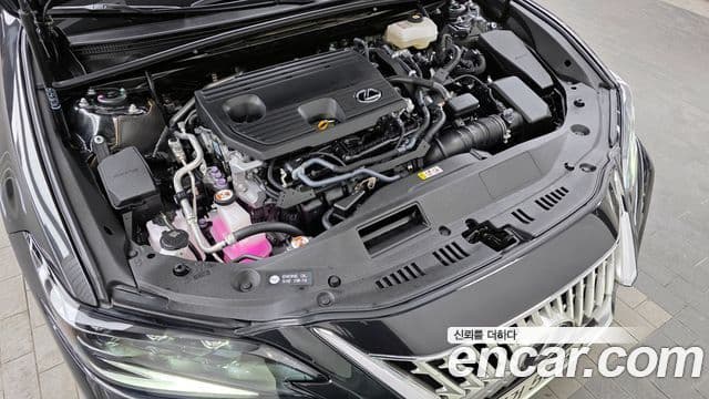 Lexus ES300h 7세대 Executive, 2026 6