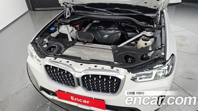 BMW X4 (G02) xDrive20i xLine, 2023 6