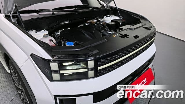 Hyundai Santa Fe (MX5) Calligraphy, 2024 6