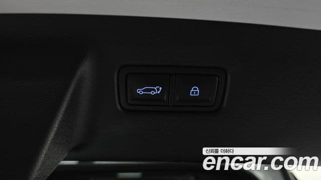 Hyundai Santa Fe (MX5) Calligraphy, 2024 20