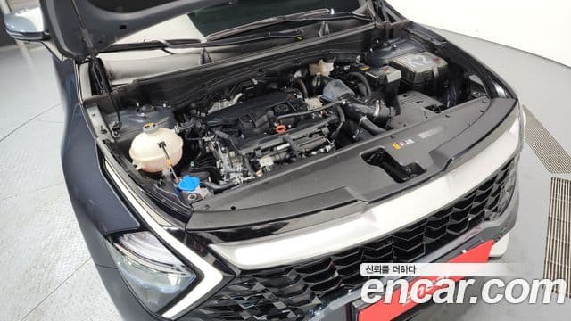 Kia Sportage 5세대 Prestige, 2022 6