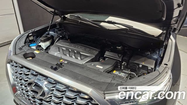 Hyundai Palisade Prestige, 2019 6